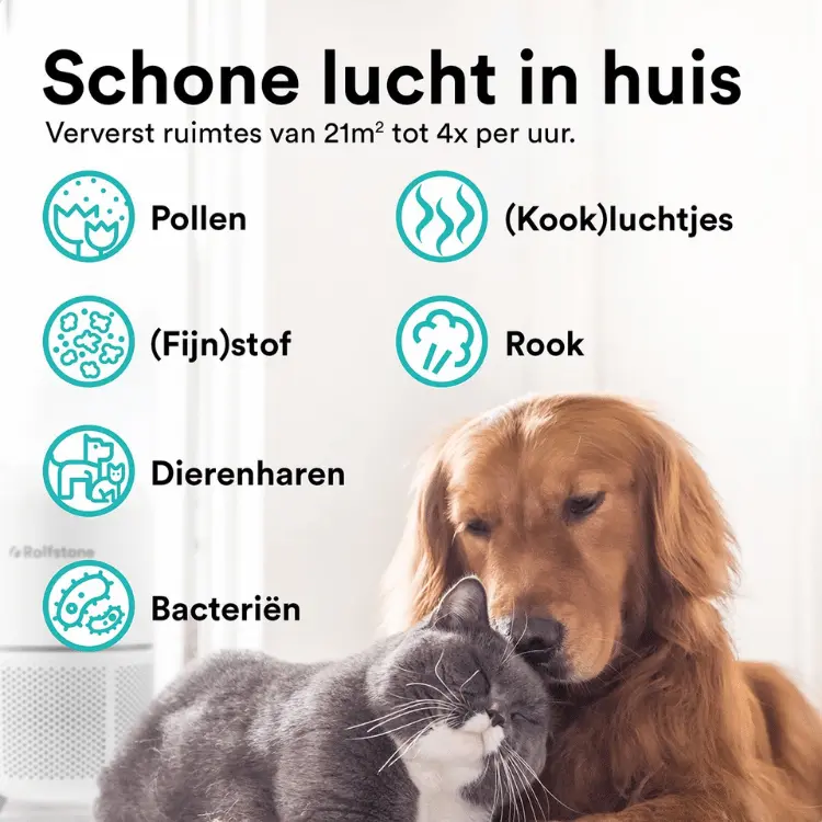 Rolfstone luchtreiniger verwijdert pollen, fijnstof, bacteriën, rook, kookluchtjes en dierenharen voor schonere lucht thuis.