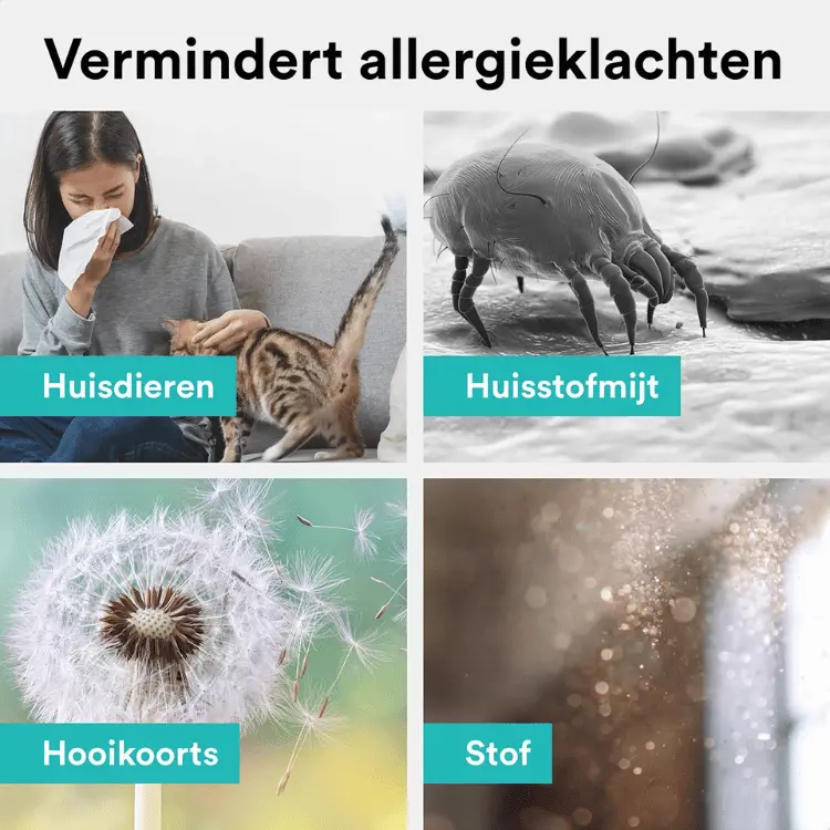Verminder allergieklachten van huisdieren, huisstofmijt, hooikoorts en stof met de krachtige filtering van de Rolfstone luchtreiniger.