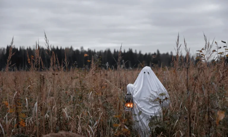 Halloween 2025|Halloween 2025