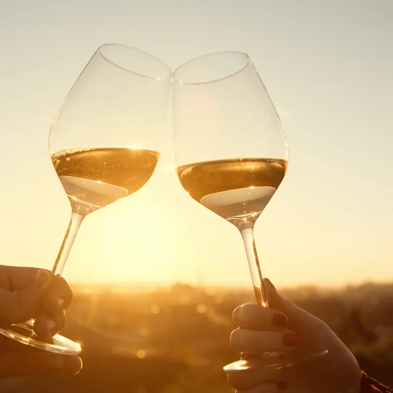 Waar Vind Ik Een Sugardaddy wijntjes drinken