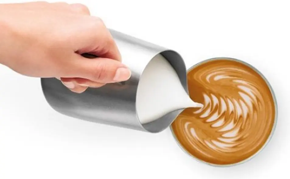 Sage SES875BSS the Barista Express review (Sage Barista Express) 11