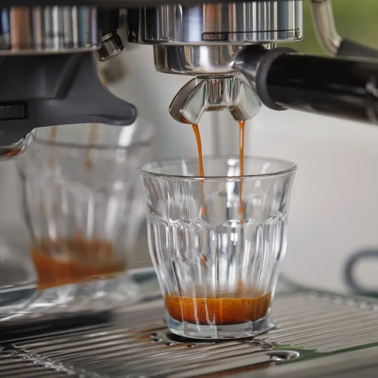 Sage SES875BSS the Barista Express review (Sage Barista Express) 4