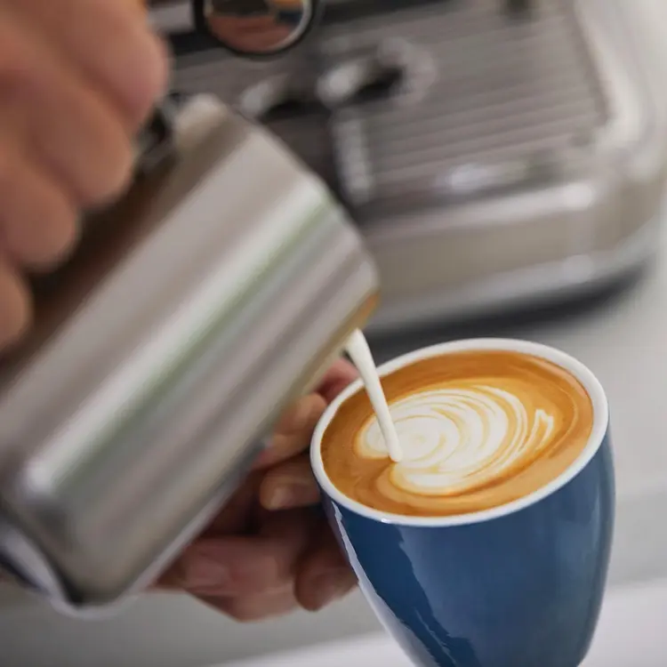Sage SES875BSS the Barista Express review (Sage Barista Express) 9